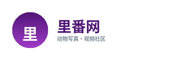 里番网